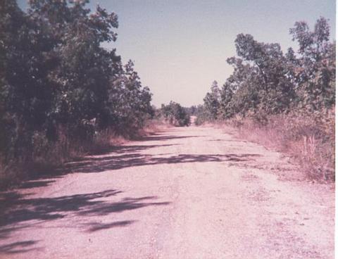 Further down Rte 1a.jpg